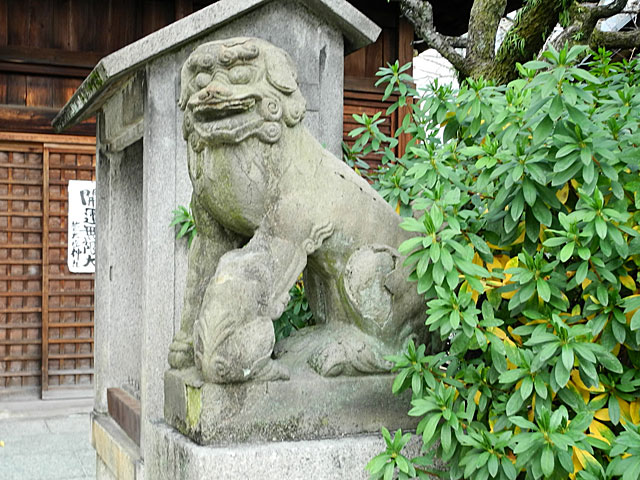 菅大臣神社の狛犬