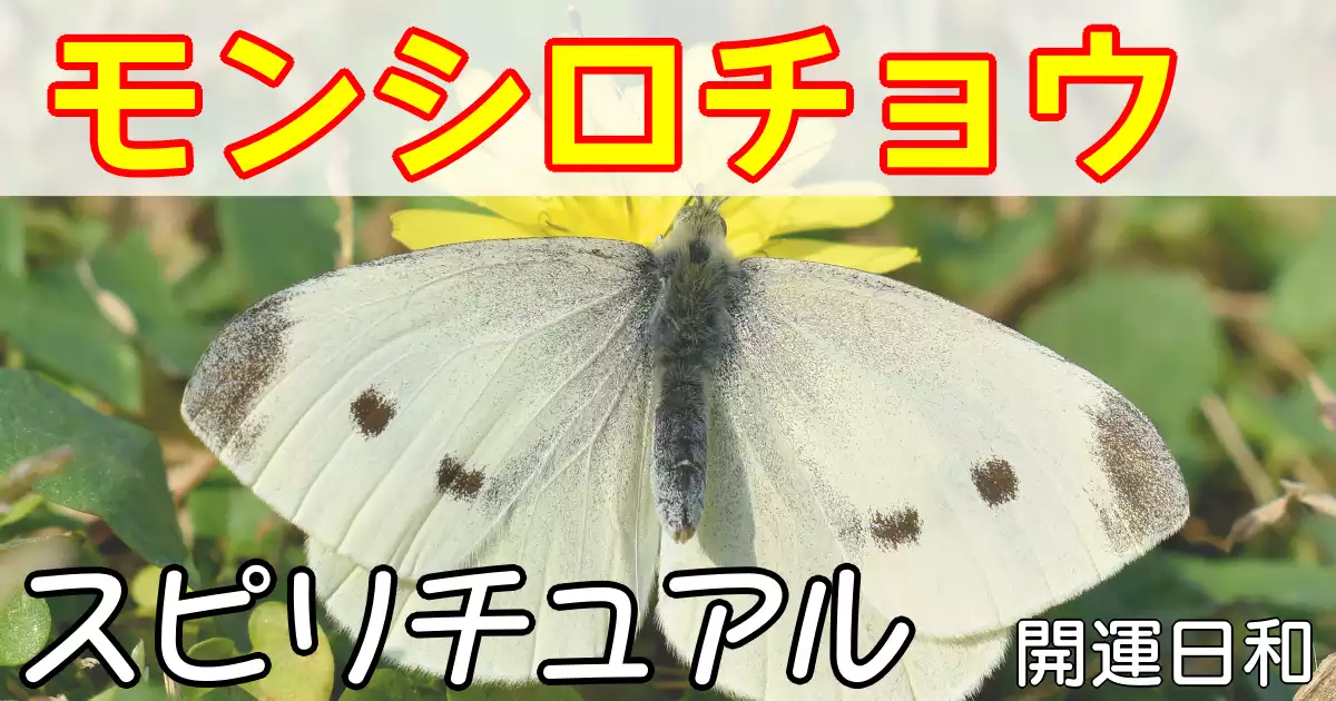 モンシロチョウのスピリチュアルな意味
