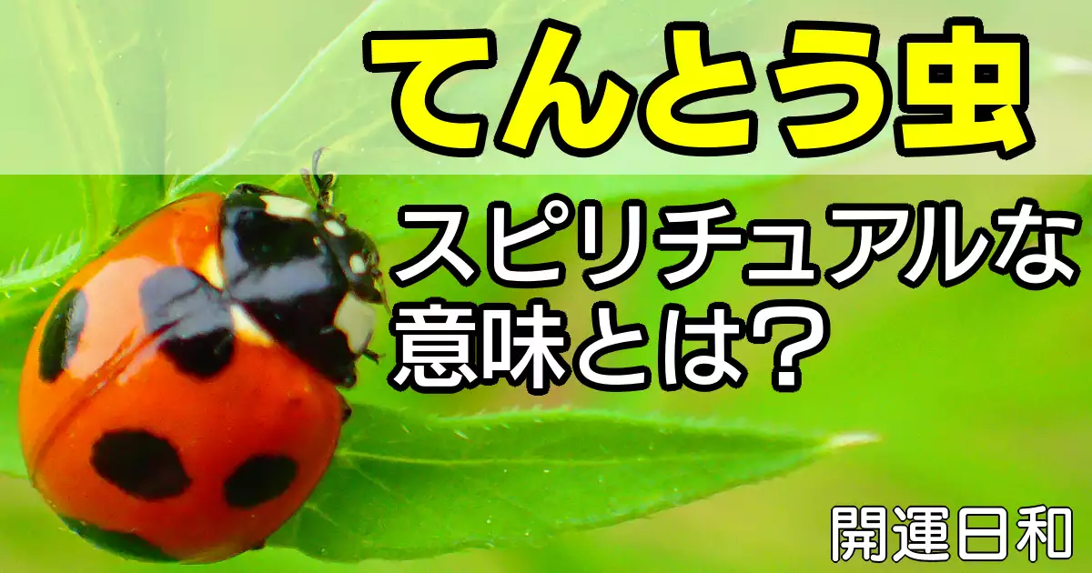 てんとう虫スピリチュアル