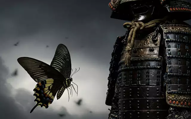 戦国武将が転生を願った鎧と力強く羽ばたくクロアゲハ(鎧蝶)の画像