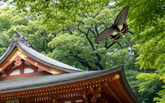 神社で神様からの歓迎を意味すると言われるクロアゲハが舞う様子