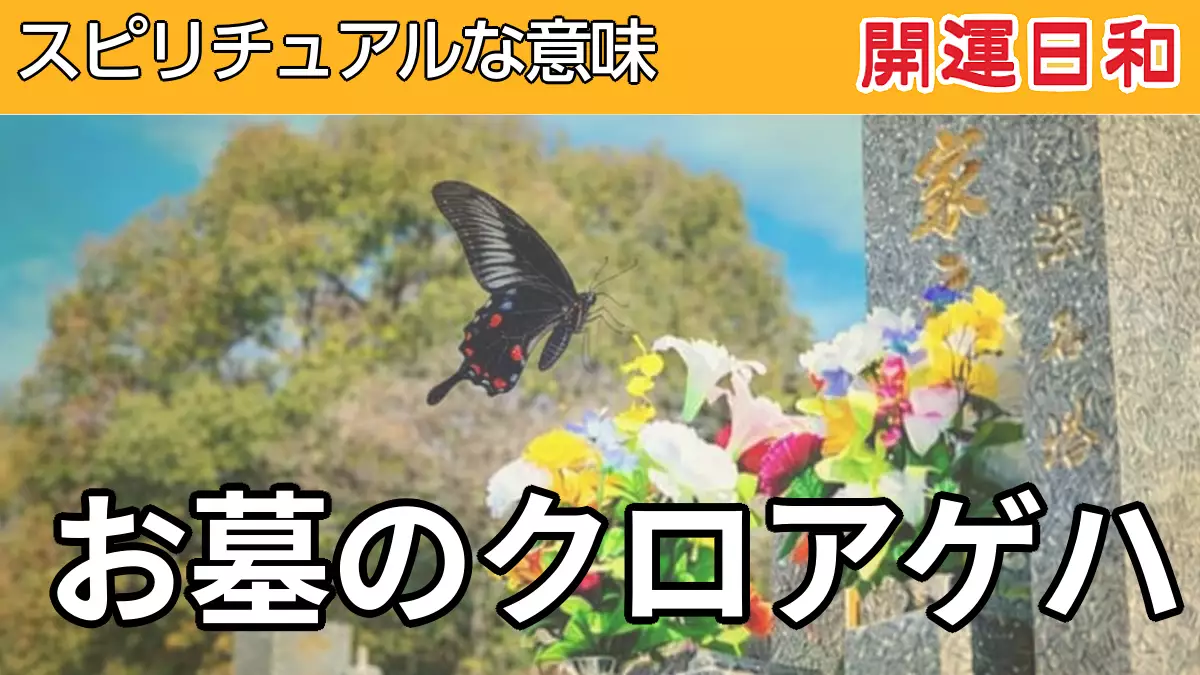 お墓のクロアゲハのスピリチュアルな意味