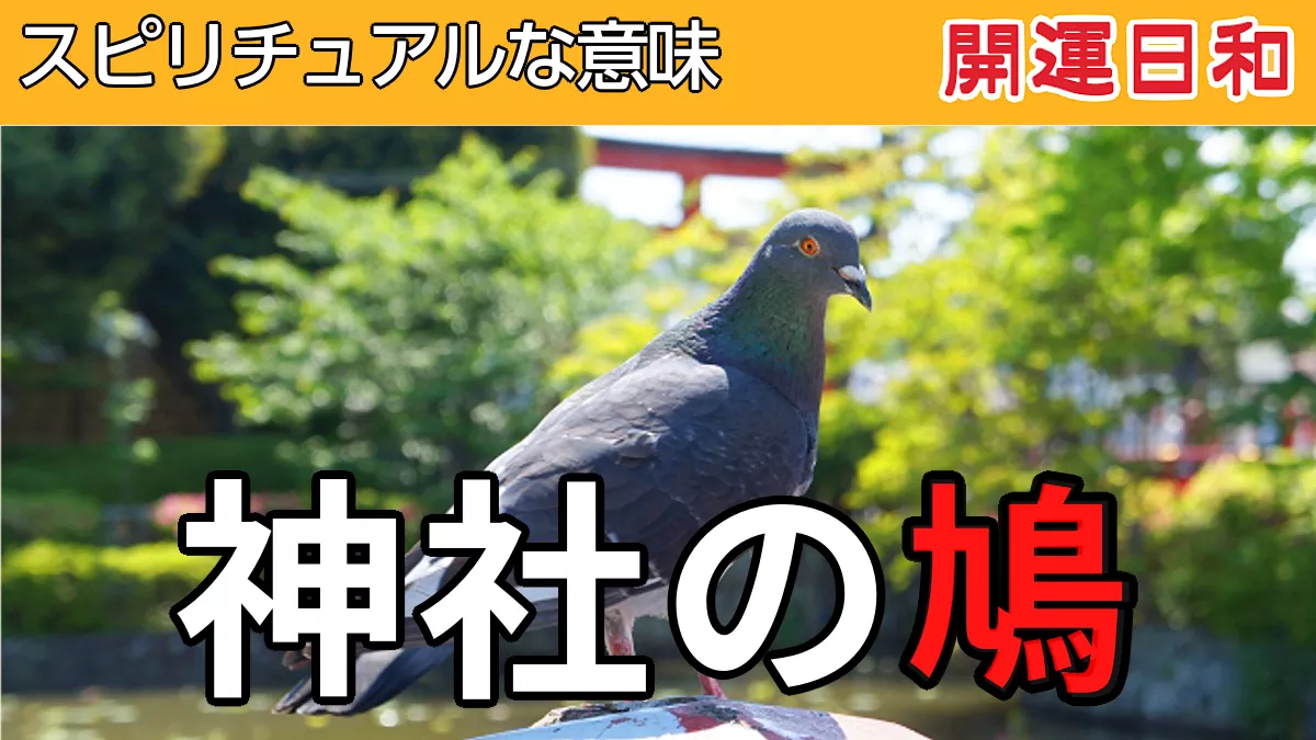 神社の鳩 スピリチュアルな意味