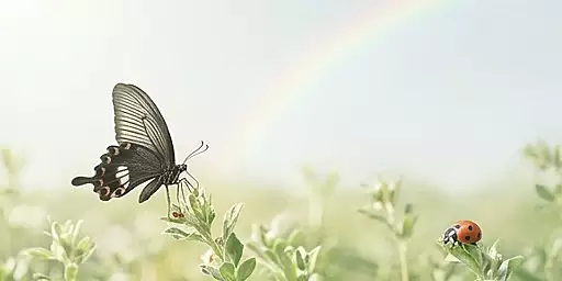 スピリチュアルな意味