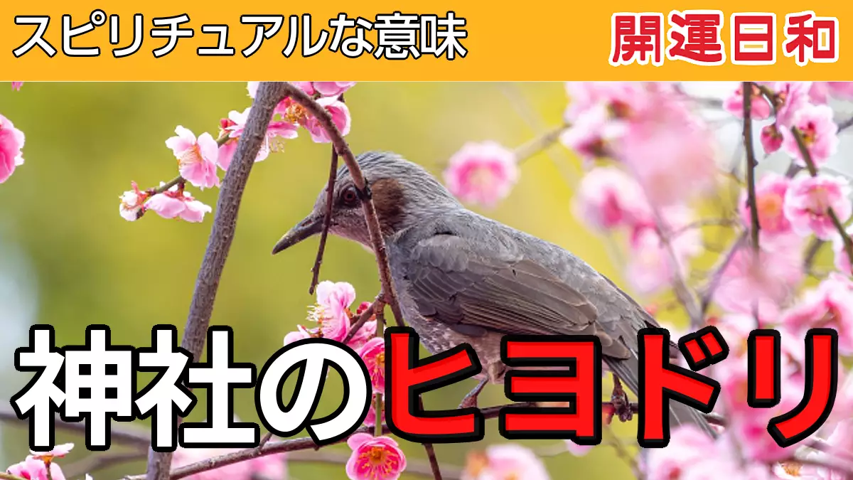 神社のヒヨドリのスピリチュアルな意味