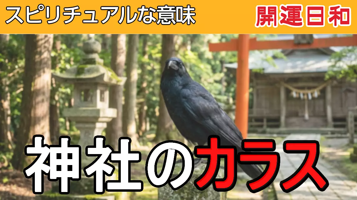 神社のカラス　スピリチュアルな意味